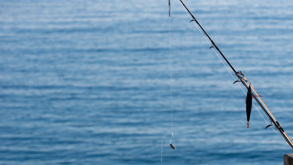 Fishing rod and a sea